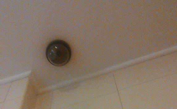 Камеры слежения в Севастополе смотрят внутрь туалетных кабинок  — фотофакт